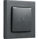 Homematic IP Nástenný diaľkový ovládač - 2 tlačídlá, antracit - HmIP-WRC2-A-2 4