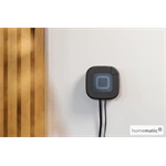 Homematic IP Centrálna jednotka 2, antracit - HmIP-HAP2-A 20